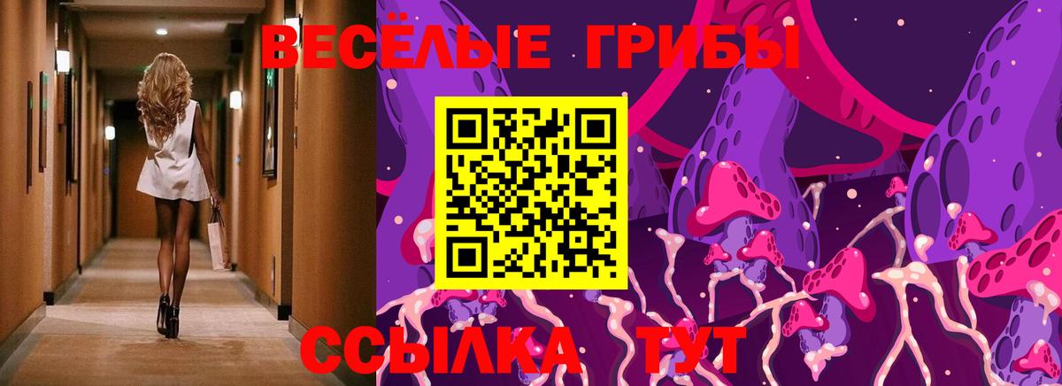 Псилоцибиновые грибы ЛСД Великий Новгород